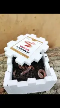 Виробництво гумусу