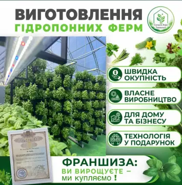 Агрофраншиза на основі гідропоніки